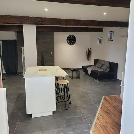 A 5km De Montauban A Διαμέρισμα